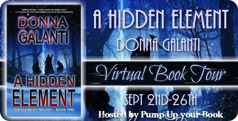 "Last Lines: In Books, In Life" - Guest Post by Donna Galanti, author of A Hidden Element