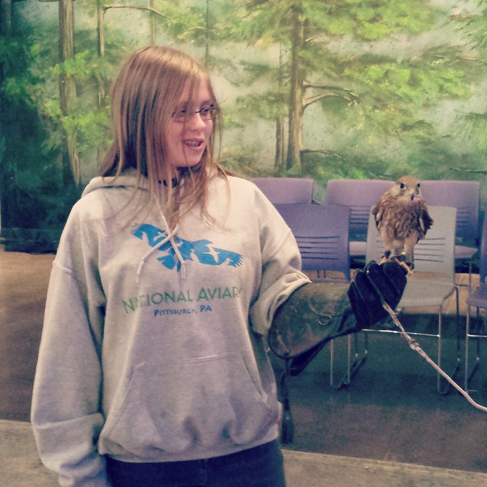 amber with the peregrine