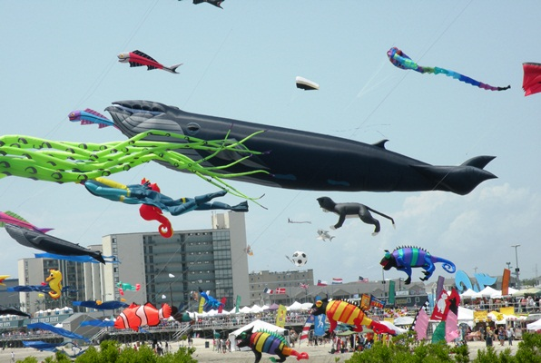 kites1