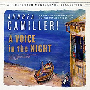 A Voice in the Night by Andrea Camilleri