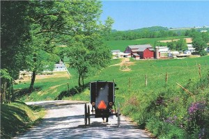 Amish Buggy near Berlin, Ohio