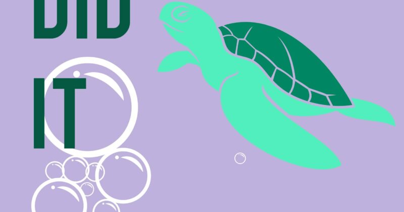 The Sea Turtle Did It by Kay Dew Shostak